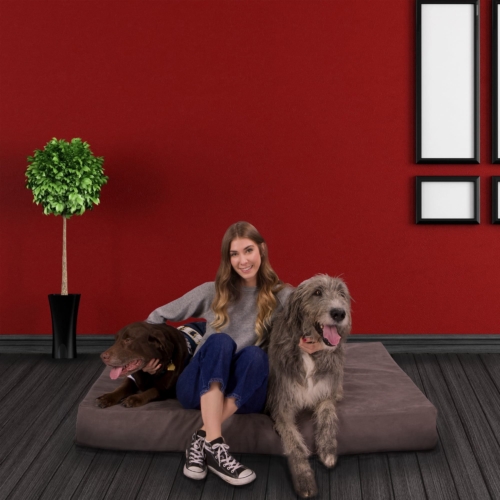 Lucky Dog Orthopedic 7" Memory Foam  Dog Bed
