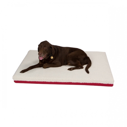 Snooz Dog Organic Latex Orthopedic Dog Bed