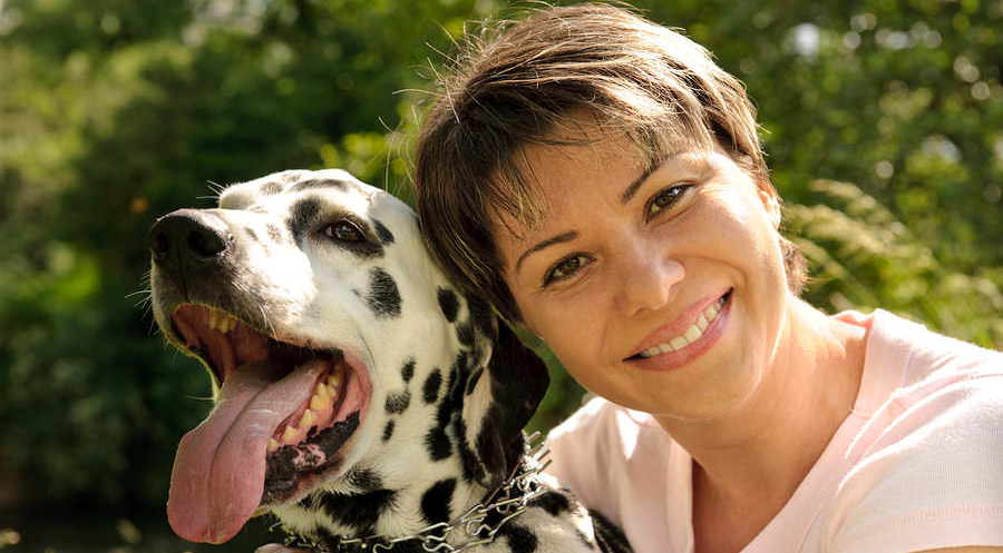 Everything Pet Parents Need To Know About Dog Beds